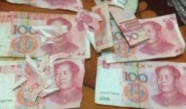 爆料二哈视频大全下载免费,免费下载爆笑视频大全