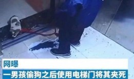 小男孩内鬼爆料视频在线观看,小男孩爆料视频在线观看全程解析
